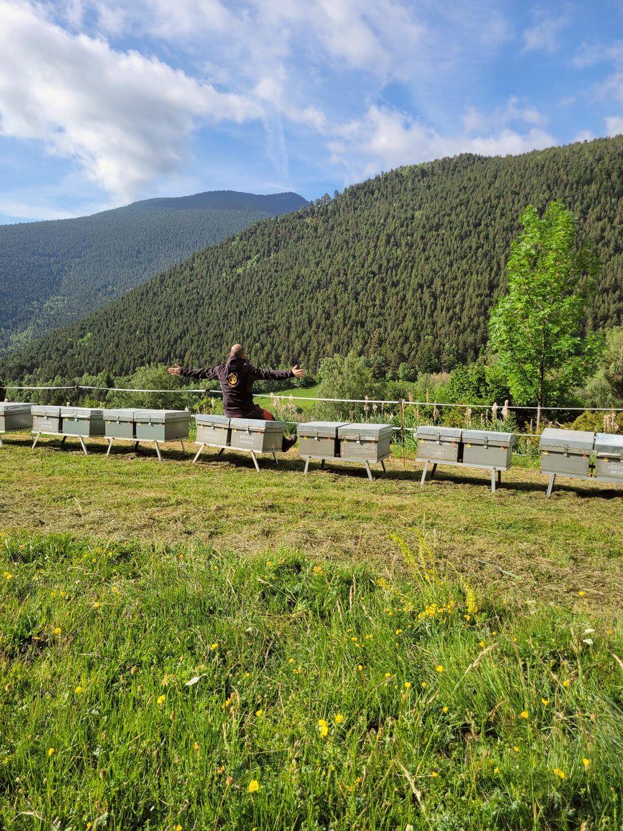 Paisatge de prats alts a la muntanya del Pirineu de Lleida